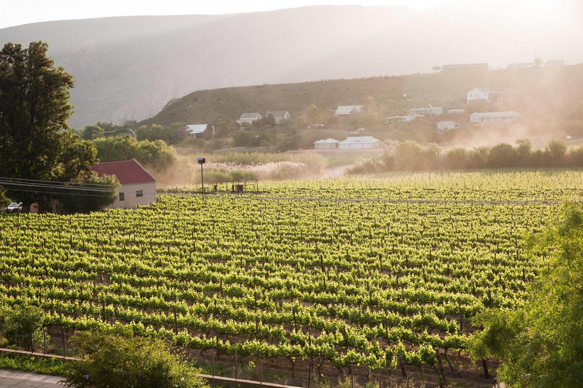 The Queen Of Calitzdorp Exterior foto
